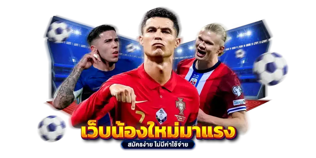 เว็บน้องใหม่มาแรง สมัครง่าย ไม่มีค่าใช้จ่าย